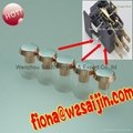 AgNi Silver Copper Bimetal Electrical Contact Rivets for 16A Wall Switches   1