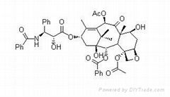 Pcalitaxel