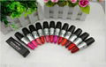  Brand MAC Lipstick Long Lasting Lipstick With Different Colors 15