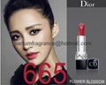  Waterproof Long Lasting Lipstick      Rouge Lipsticks With 10colors 12