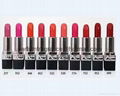  Waterproof Long Lasting Lipstick      Rouge Lipsticks With 10colors 1