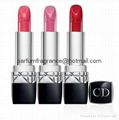  Waterproof Long Lasting Lipstick Dior Rouge Lipsticks With 10colors