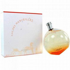 Best Quality Brand Perfume With France FragranceTerre D'       Fragrance Spray