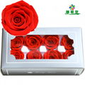 Preserved Flower 4-5cm 8Roses Heads, Real Preserved Roses For Home Decoration 1