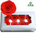 Preserved Flower 4-5cm 8Roses Heads, Real Preserved Roses For Home Decoration