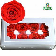 Preserved Flower 4-5cm 8Roses Heads, Real Preserved Roses For Home Decoration