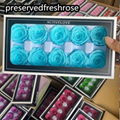 Preserved Fresh Ross 4cm 10Roses Heads For Gift Crafts Arrangement 5