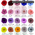 Grade A 5-6cm Preserved Real Rose Flower 6roses as Wedding Decoration Material 
