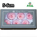 Grade A 5-6cm Preserved Real Rose Flower 6roses as Wedding Decoration Material  4