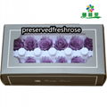 Grade A 3-4cm Preserved Flowers Head 12roses Preserved Rose For Decoration 