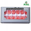 Grade A 3-4cm Preserved Flowers Head 12roses Preserved Rose For Decoration  10