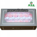 Grade A 3-4cm Preserved Flowers Head 12roses Preserved Rose For Decoration 