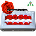 Grade A 3-4cm Preserved Flowers Head 12roses Preserved Rose For Decoration  12