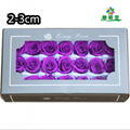 Small Size Preserved Rose Head 2-3cm 21roses 37colors Preserved Roses 2