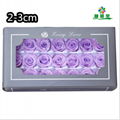 Small Size Preserved Rose Head 2-3cm 21roses 37colors Preserved Roses 4