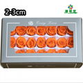Small Size Preserved Rose Head 2-3cm 21roses 37colors Preserved Roses 5