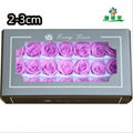 Small Size Preserved Rose Head 2-3cm 21roses 37colors Preserved Roses 1