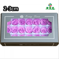 Small Size Preserved Rose Head 2-3cm 21roses 37colors Preserved Roses