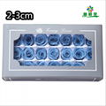 Small Size Preserved Rose Head 2-3cm 21roses 37colors Preserved Roses 7