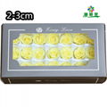 Small Size Preserved Rose Head 2-3cm 21roses 37colors Preserved Roses 9