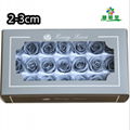 Small Size Preserved Rose Head 2-3cm 21roses 37colors Preserved Roses 11