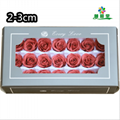 Small Size Preserved Rose Head 2-3cm 21roses 37colors Preserved Roses