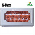 Small Size Preserved Rose Head 2-3cm 21roses 37colors Preserved Roses 15