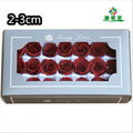 Small Size Preserved Rose Head 2-3cm 21roses 37colors Preserved Roses 16