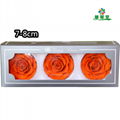 Preserved Rose Head 7-8cm 3roses Head For Florist Arrangement 13