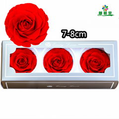 Preserved Rose Head 7-8cm 3roses Head For Florist Arrangement