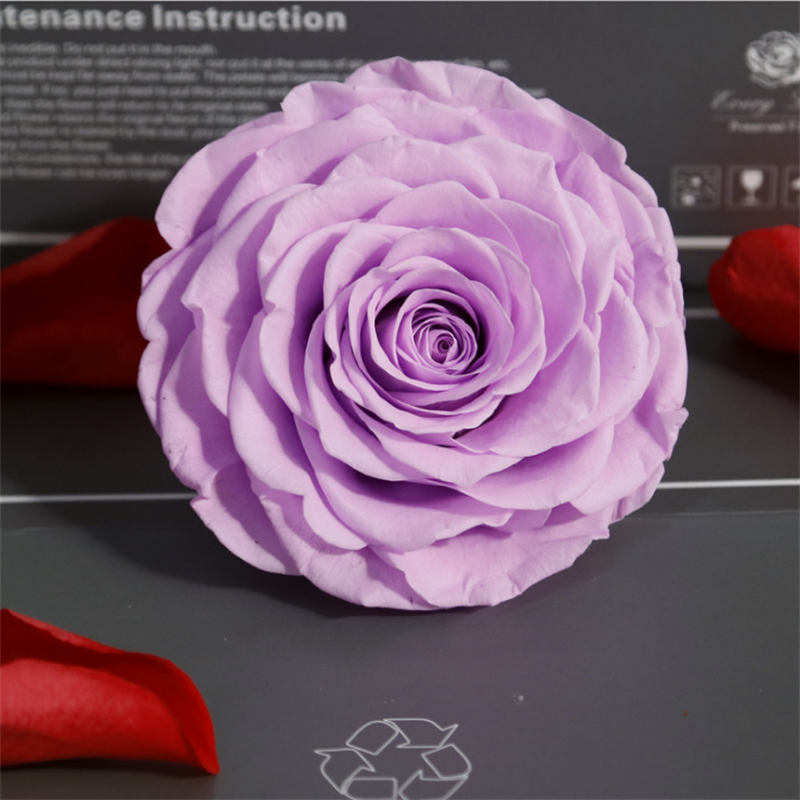 Big Size Rose Head 9-10cm Only One Preserved Rose For Florist Arrangement 4