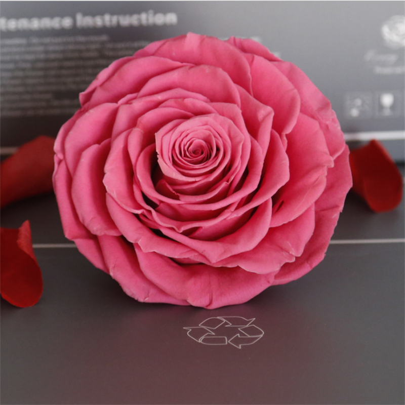 Big Size Rose Head 9-10cm Only One Preserved Rose For Florist Arrangement 5