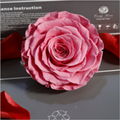 Big Size Rose Head 9-10cm Only One Preserved Rose For Florist Arrangement 6