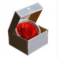 Big Size Rose Head 9-10cm Only One Preserved Rose For Florist Arrangement 3