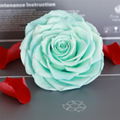 Big Size Rose Head 9-10cm Only One Preserved Rose For Florist Arrangement 7