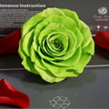 Big Size Rose Head 9-10cm Only One Preserved Rose For Florist Arrangement 9