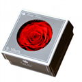 Big Size Rose Head 9-10cm Only One