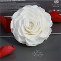 Big Size Rose Head 9-10cm Only One Preserved Rose For Florist Arrangement