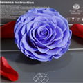 Big Size Rose Head 9-10cm Only One Preserved Rose For Florist Arrangement 12