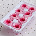 Preserved Austin Rose 4-5cm 8Roses Heads Preserved Roses For Home Decoration