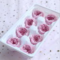 Preserved Austin Rose 4-5cm 8Roses Heads Preserved Roses For Home Decoration