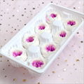 Preserved Austin Rose 4-5cm 8Roses Heads Preserved Roses For Home Decoration