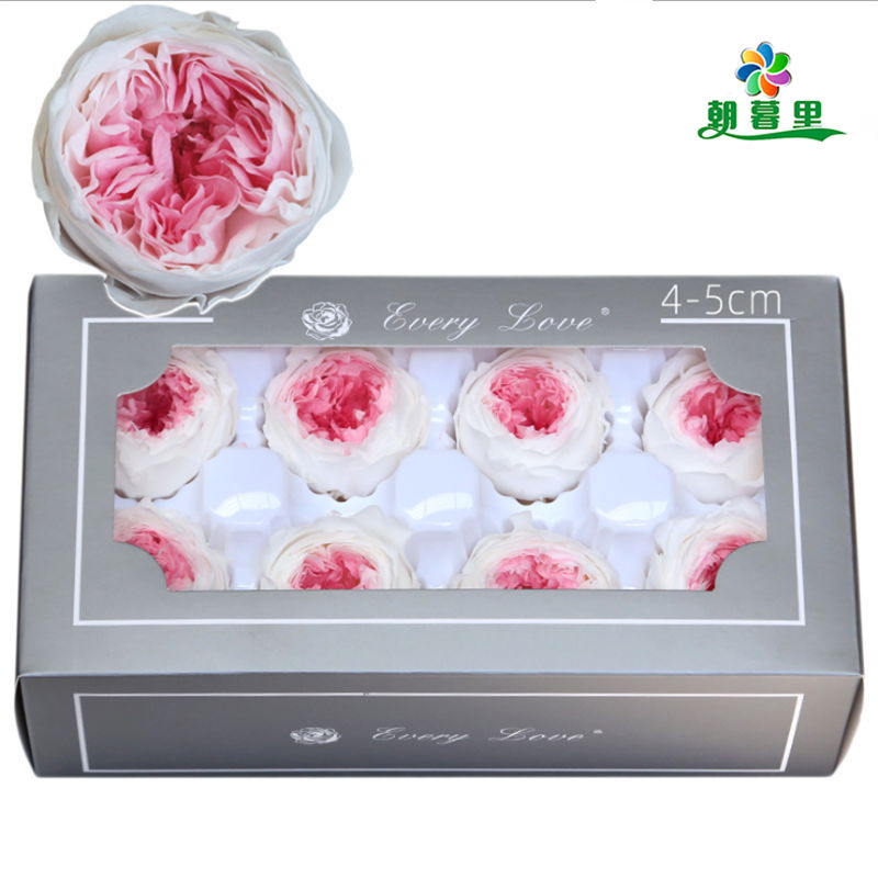 Preserved Austin Rose 4-5cm 8Roses Heads Preserved Roses For Home Decoration