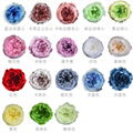 Preserved Austin Rose 4-5cm 8Roses Heads Preserved Roses For Home Decoration