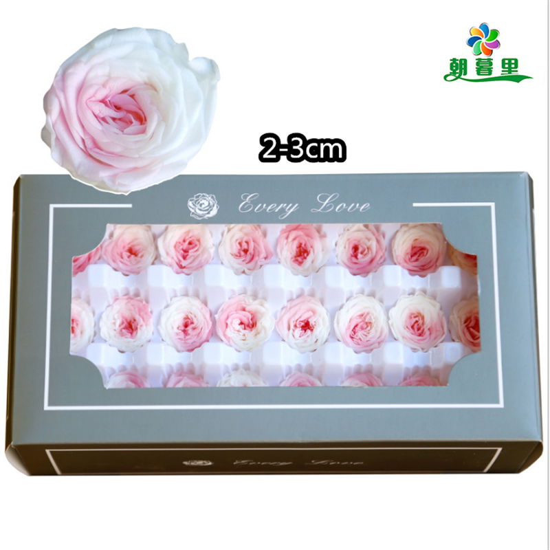 Preserved Austin Rose 2-3cm 21Roses Heads Eternal Flowers For Home Decoration