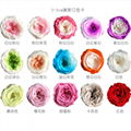 Preserved Austin Rose 2-3cm 21Roses Heads Eternal Flowers For Home Decoration 17