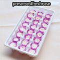 Preserved Austin Rose 2-3cm 21Roses Heads Eternal Flowers For Home Decoration