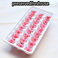 Preserved Austin Rose 2-3cm 21Roses Heads Eternal Flowers For Home Decoration