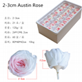Preserved Austin Rose 2-3cm 21Roses Heads Eternal Flowers For Home Decoration 2