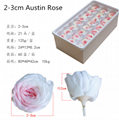 Preserved Austin Rose 2-3cm 21Roses Heads Eternal Flowers For Home Decoration